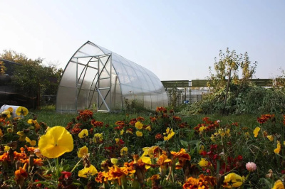 150dd2f46b05d373a016c26bc9a102f7