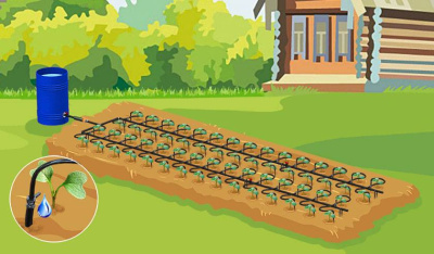 bd38b66ec1551ee077f100ab913d71f6