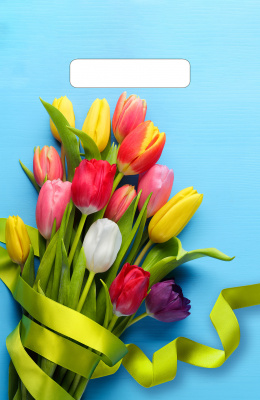 Тюльпаны на голубом01034