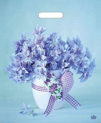 Небесные цветочки 01558