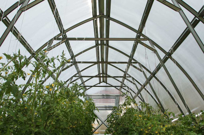 7388 Стрелка3 внутри